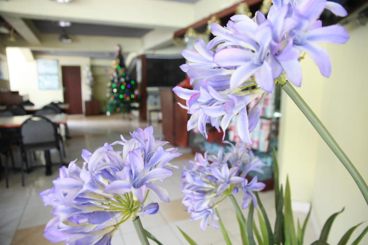 Pandu Lakeside Hotel Parapat Exterior photo